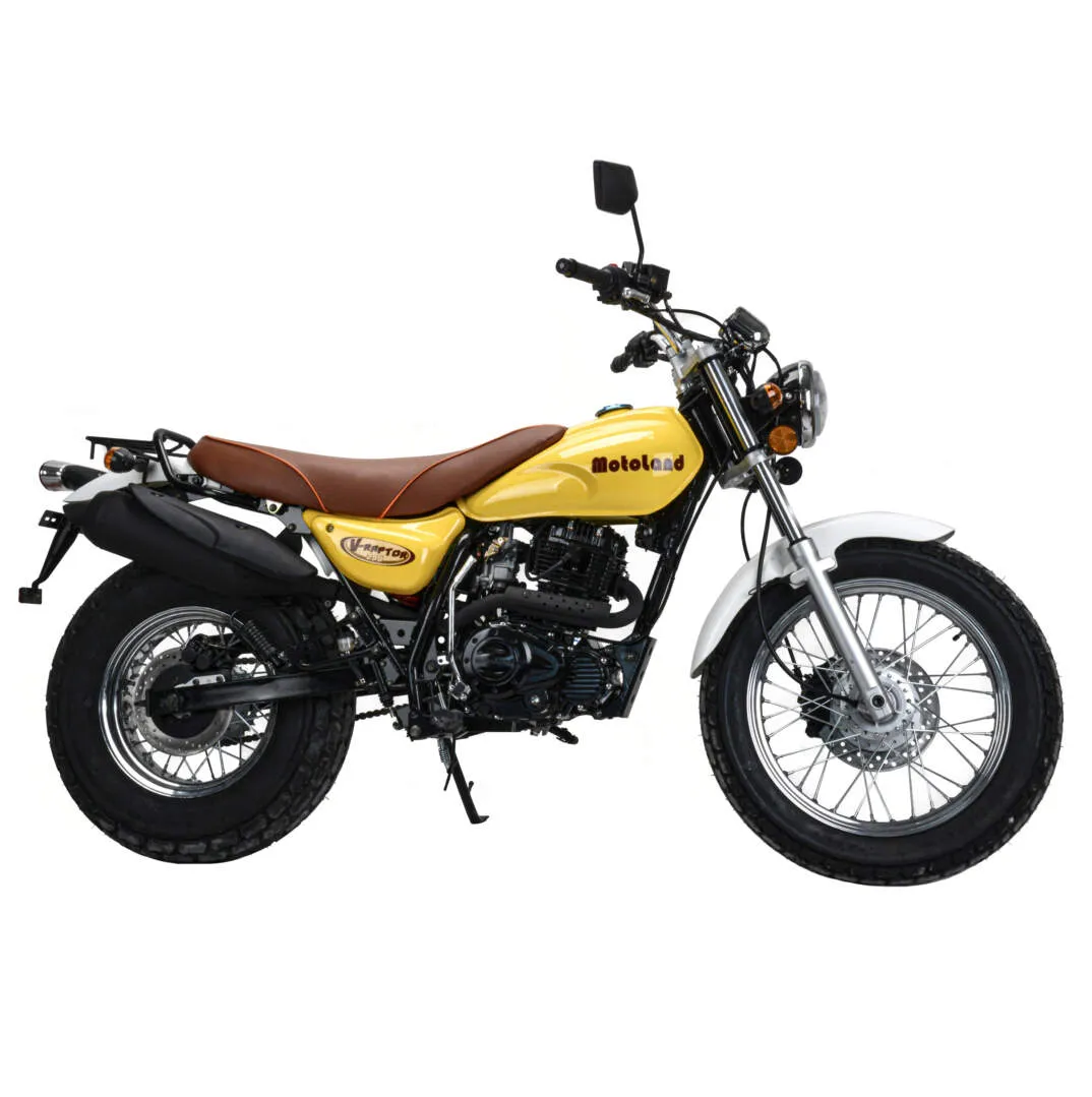 Мотоцикл дорожный Motoland V-RAPTOR 250 5498 — изображение 10