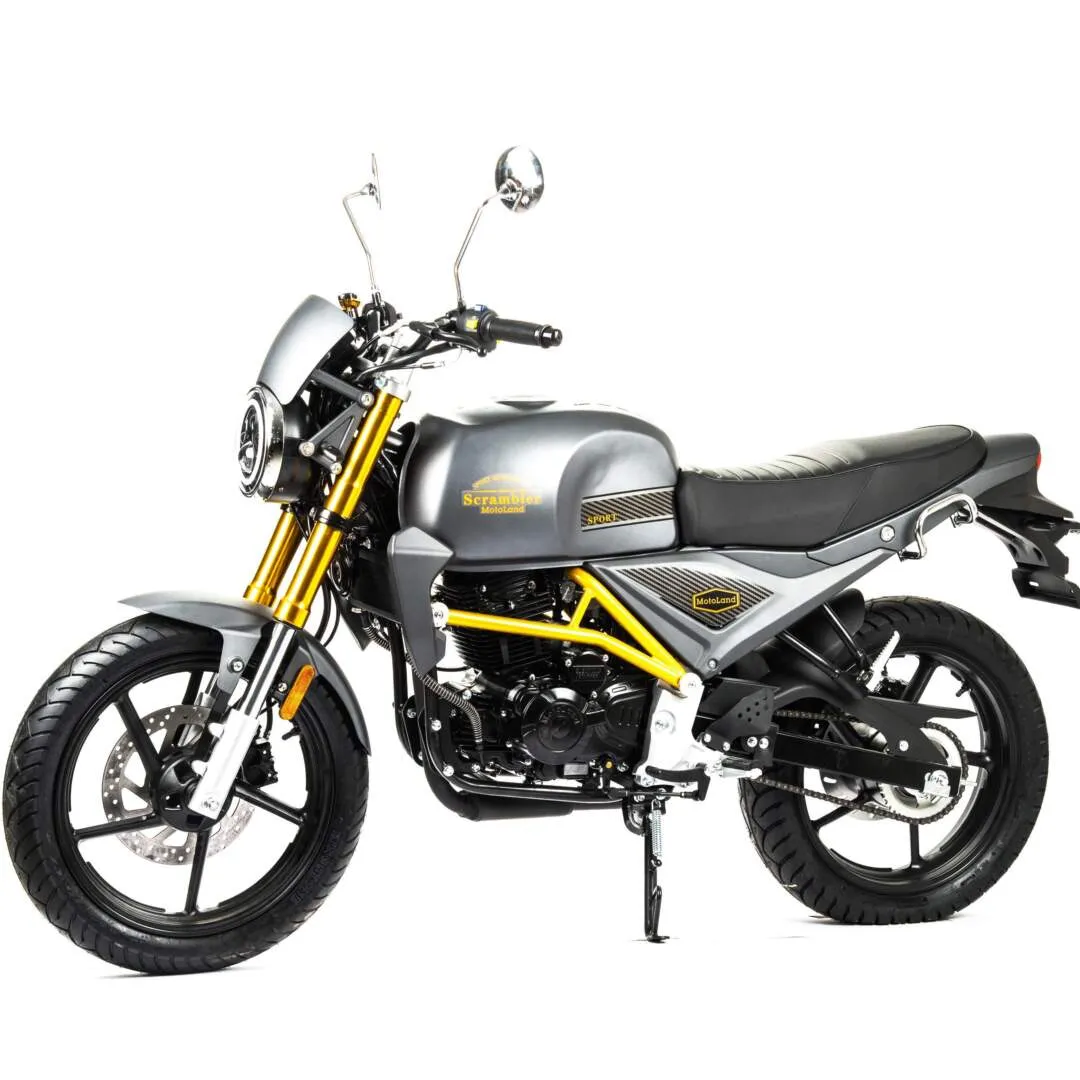 Мотоцикл дорожный Motoland SCRAMBLER 250 с ПТС 13437 — изображение 2