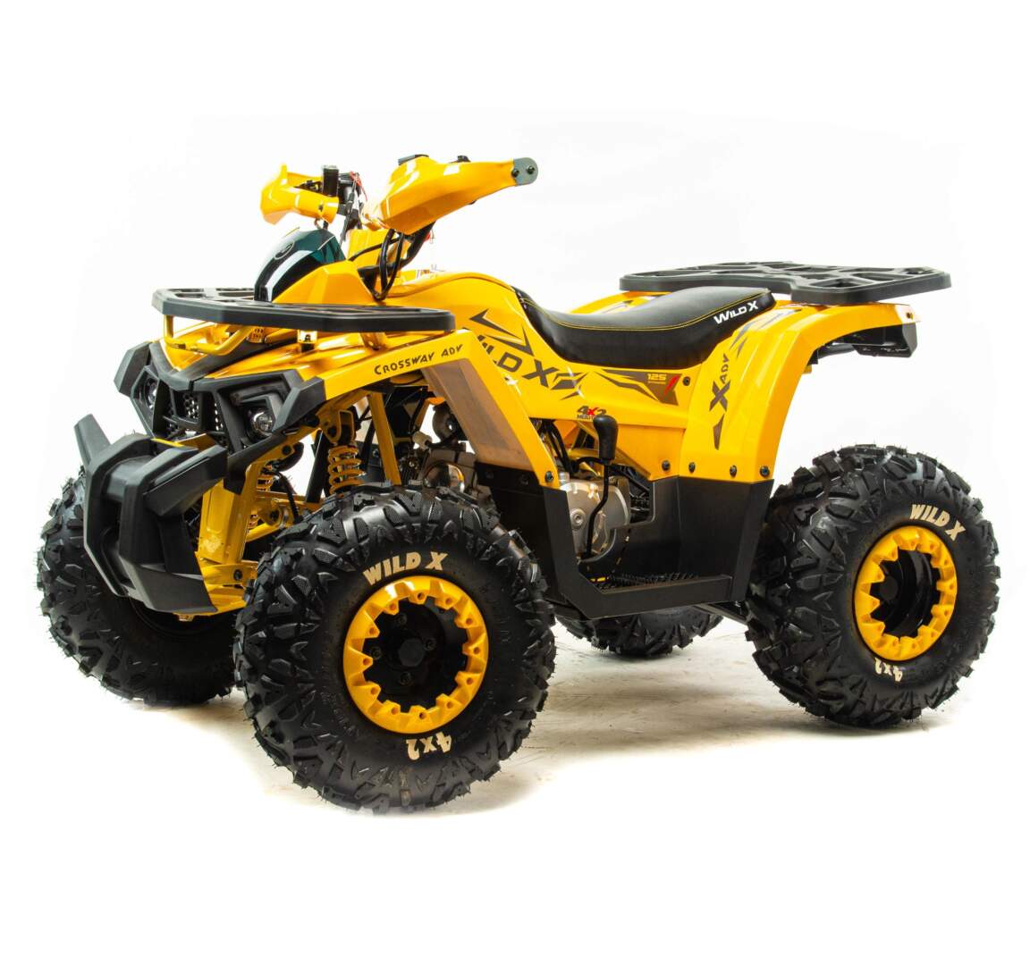 Квадроцикл VOX125 WILD X 18090 — изображение 3